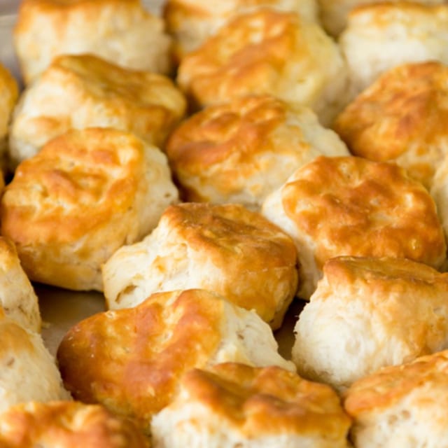 Biscuit.
